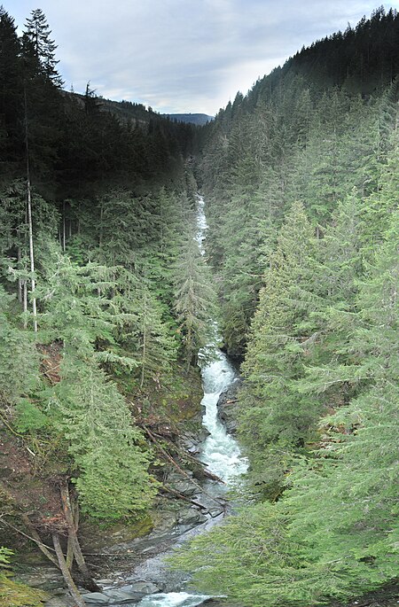 Carbon River pano 01A