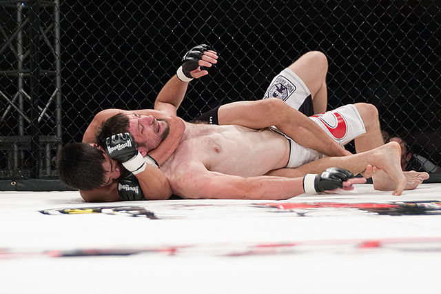 Submission Mma