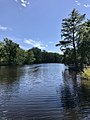 Cashie River in Windsor