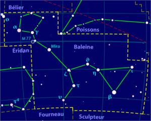 Cetus constellation map-fr.png