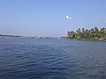 Chaliyam Harbour, Calicut 2.jpg