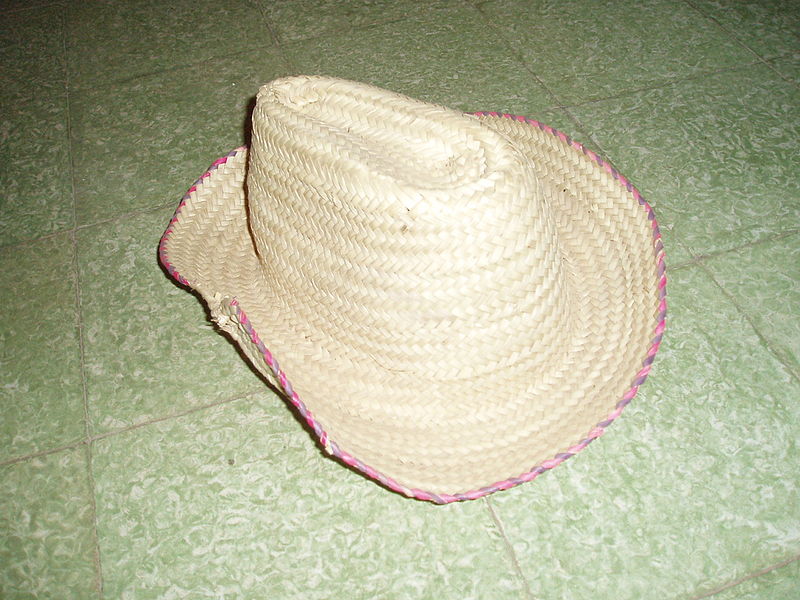 File:Chapeau Doum algérien.JPG