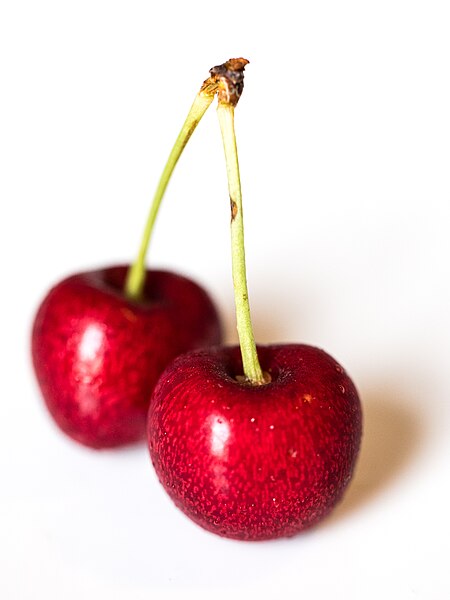 File:Cherry season (48216568227).jpg