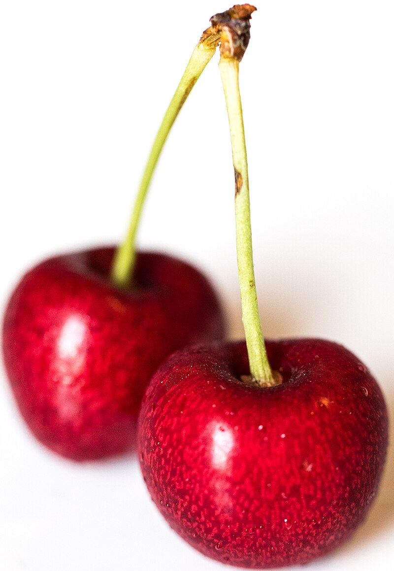 white cherry fruit tree