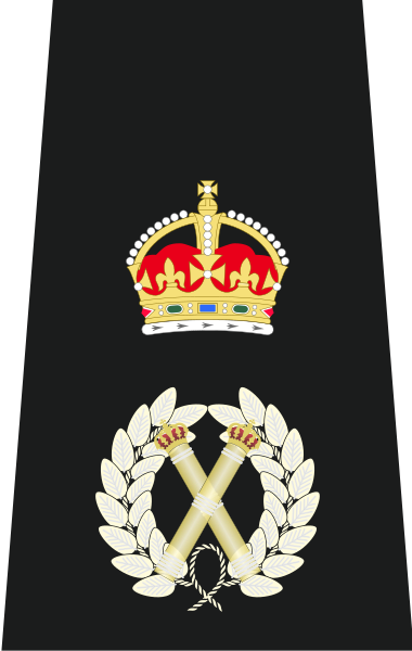 File:Chief Constable Insignia (Tudor Crown).svg