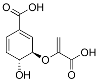 Illustrativt billede af artiklen Chorismic acid