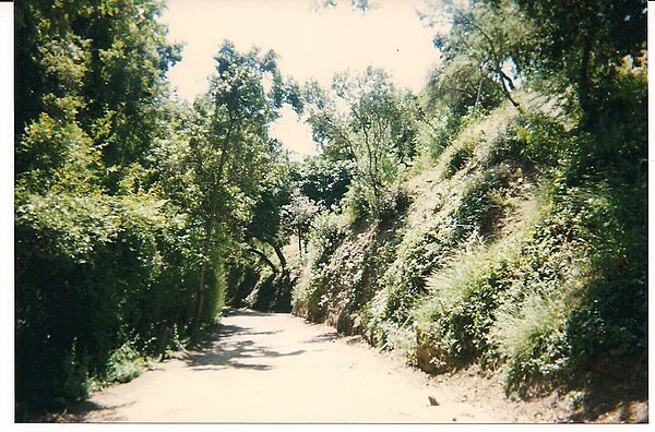 Cielo Drive in Benedict Canyon