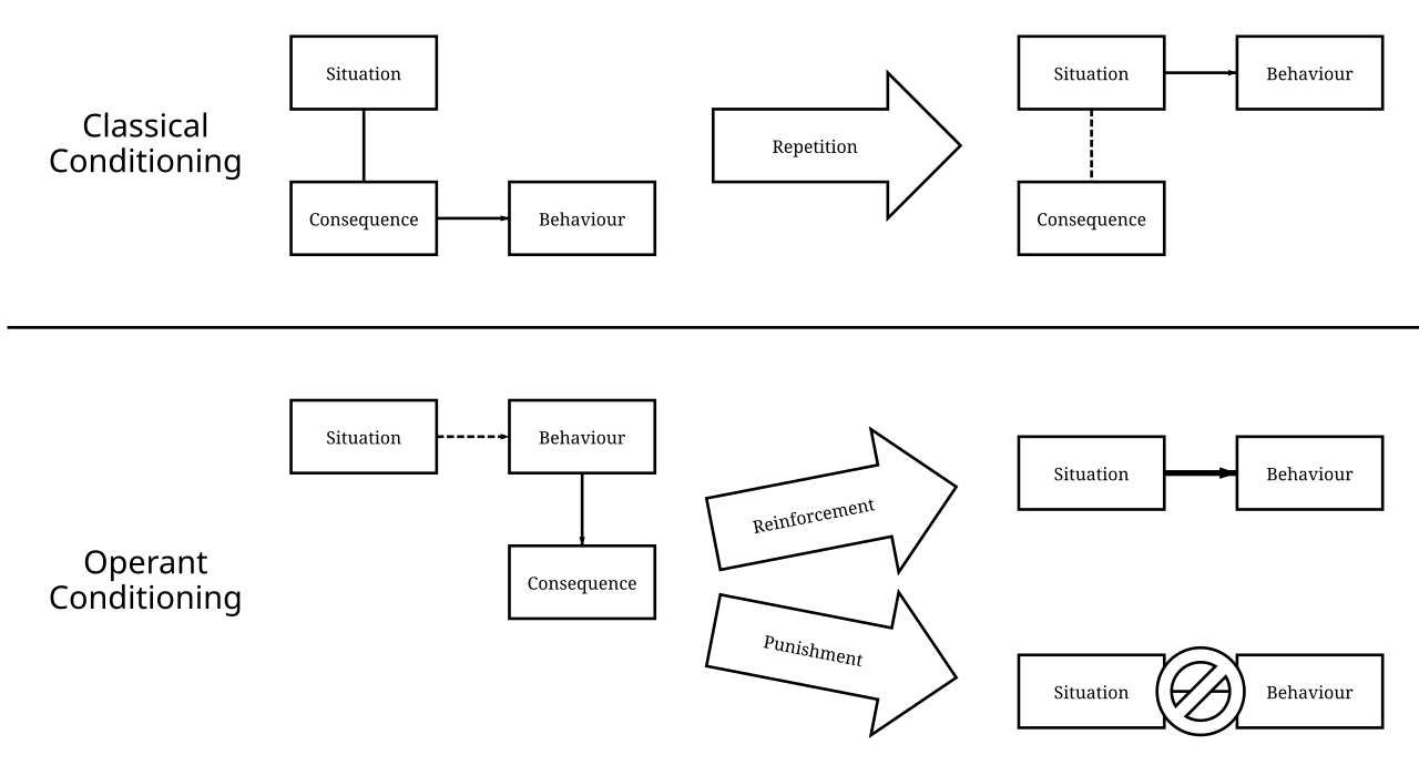 Operant Conditioning Flow Chart