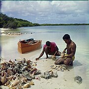 Collectie Nationaal Museum van Wereldculturen TM-20029676 Vissers vissen op karkó, vermoedelijk bij de lagune Lac Bonaire Boy Lawson (Fotograaf).jpg