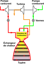 Vignette pour Cycle tap-off