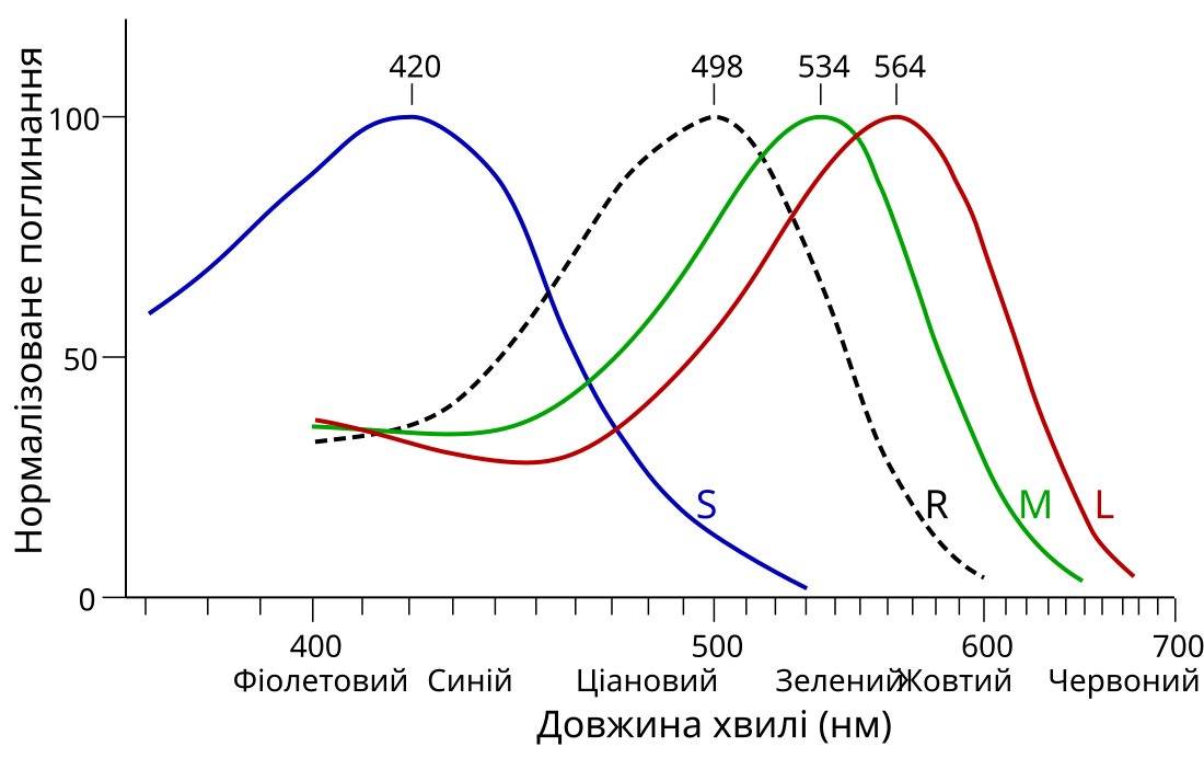 File:Cone-response-uk.svg