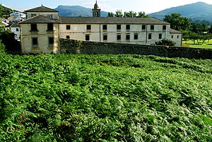 Monasterio: Surgimiento de las órdenes de monjes cristianos, Monasterios en Oriente, Monasterios ortodoxos