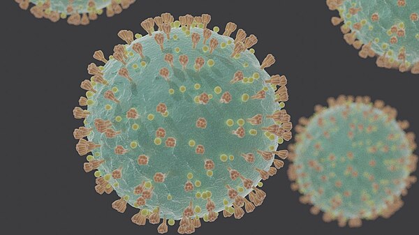 Coronavirus SARS-CoV-2.jpg