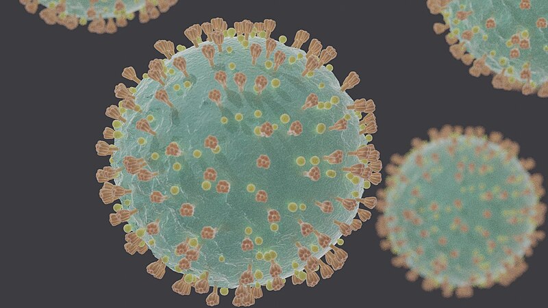 File:Coronavirus SARS-CoV-2.jpg