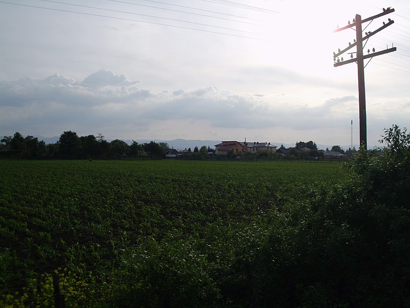 File:Costişa - panoramio.jpg