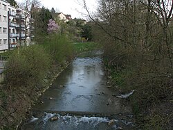 Dietikon - Reppisch IMG 6132.JPG