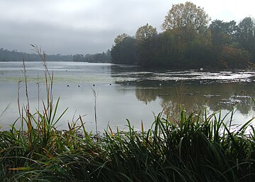 File:Dijon_Lac_Kir_07.jpg