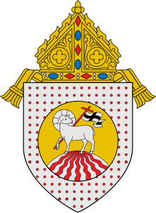 <span class="mw-page-title-main">Roman Catholic Diocese of Laoag</span>