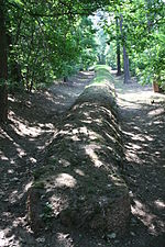 Großsteingrab Wietrzychowice 3