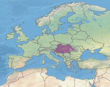 The Pannonian mixed forests cover the extent of the plain Ecoregion PA0431.svg