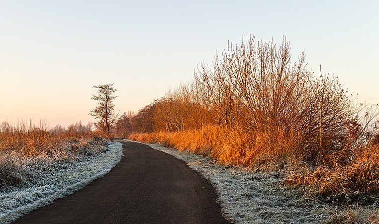 图为长夜过后，第一缕冬日照耀大地之景。这条小径位于荷兰弗里斯兰的De Fryske Marren（英语：De Fryske Marren），在Put van Nederhorst和Langweerderwielen两个湖泊之间。
