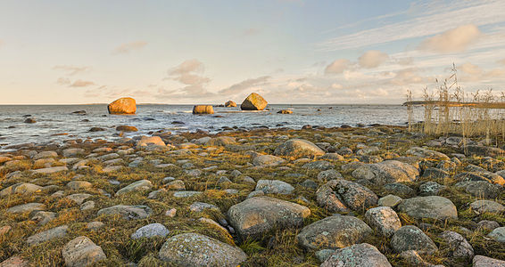 Northen Estonian Coastline