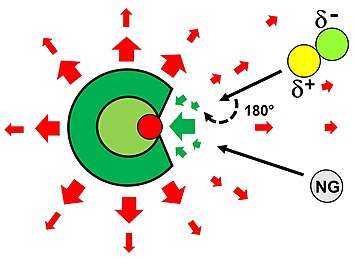 Figure 5: Illustration of the electric field resulting from the molecular charge distribution. The colored arrows represent the force acting on a negative point charge. This force is large and attractive near the positively charged binding site (green arrows) and becomes repulsive at greater distances due to the overall negative charge (red arrows). The change in direction of the electric field near the binding site results in a reversal of the preferred orientation of a dipole. Note: The same color scale as in Figure 4 was used for the coloring. Electric field of electrophilic anions2.jpg