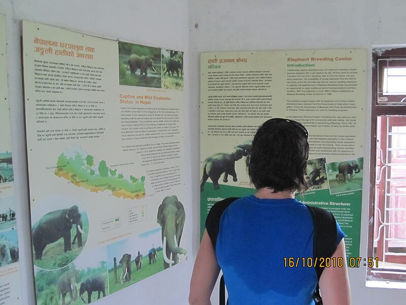 File:Elephant Breeding Center (2010)-3.jpg