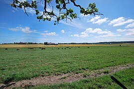 Jordene øst for Elingård