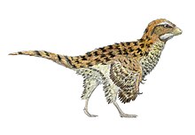 Eosinopteryx.jpg