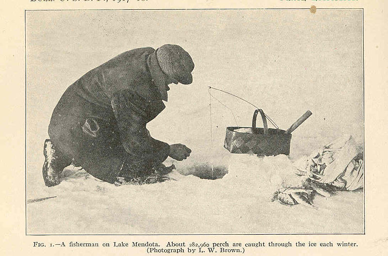 File:FMIB 38380 Fisherman on Lake Mendota About 282,960 perch are caught through the ice each winter.jpeg