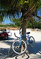 Karibischer Fahrradständer in San Pedro