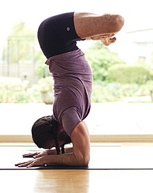 Feathered Peacock Pose aka Pincha Mayurasana.jpg