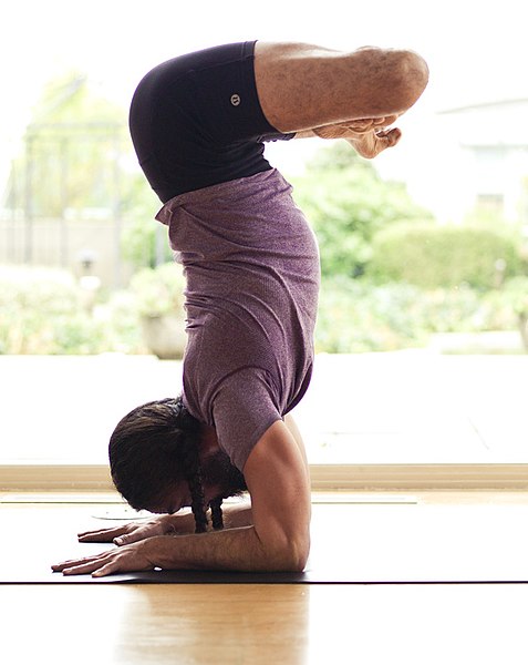 File:Feathered Peacock Pose aka Pincha Mayurasana.jpg