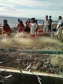 Pesca em Romblon.jpg