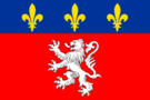 里昂标志旗