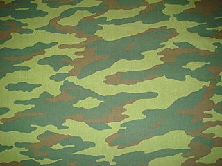 <span class="mw-page-title-main">Flora camouflage</span> Russian military camouflage