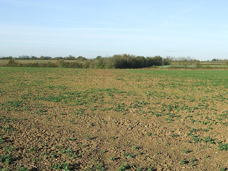 File:Footpath And Field - geograph.org.uk - 2658197.jpg