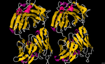 Miniatura para Obinutuzumab