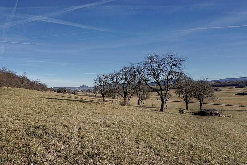 File:Geislingen-Wiesenlandschaft bei Balingen-DSC0478.jpg