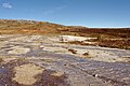 * Nomination Geysir Geothermal Field, Haukadalur Valley, Iceland --Jakubhal 03:39, 13 June 2023 (UTC) * Promotion  Support Good quality. --Tournasol7 04:15, 13 June 2023 (UTC)