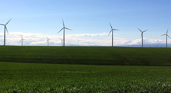 The view westward of a wheat field off Highway 19.