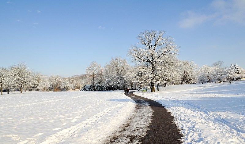 File:Grüttpark - Winter1.jpg