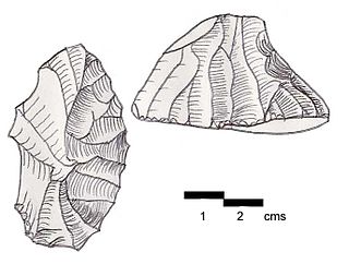 <span class="mw-page-title-main">Grattoir de côté</span> Upper Paleolithic stone tool