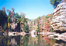 An eye level image from the lake, showing trees turning colors for Autumn.