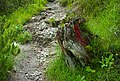 * Nomination Tree stump along a path in Gseng, Gesäuse, Austria --Domob 07:14, 29 June 2020 (UTC) * Promotion Good quality. --Sonya7iv 08:07, 29 June 2020 (UTC)