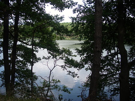 Hammersee