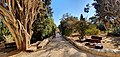 Hansen House in Jerusalem - Road and on both sides landscaping - A.jpg