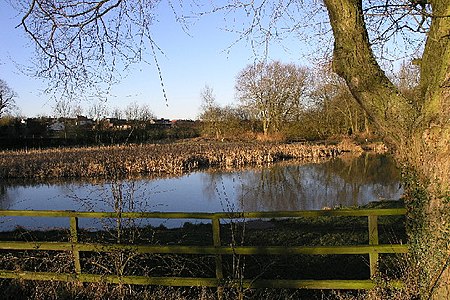 Harlesthorpe dam