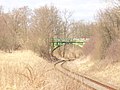 Heidekrautbahn bei Blankenfelde (Heather Railway by Blankenfelde) - geo.hlipp.de - 34395.jpg